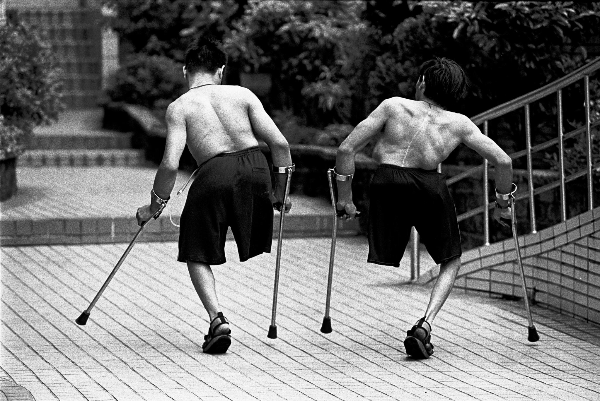 手足情深 忠仁 忠義